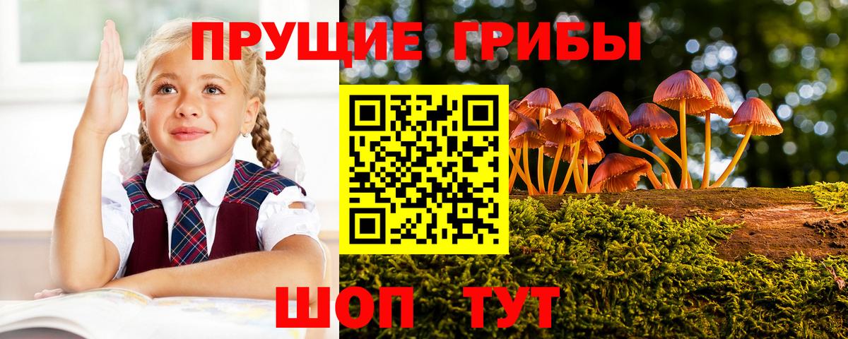 наркошоп  Вход с VPN  Галлюциногенные грибы GOLDEN TEACHER  Ижевск  Галлюциногенные грибы Psilocybine cubensis 